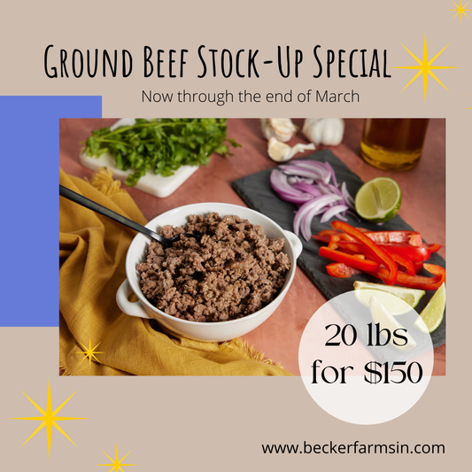 March Ground Beef Special