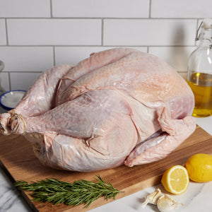 Whole Turkey (16 to 19 lbs) Pre-Order